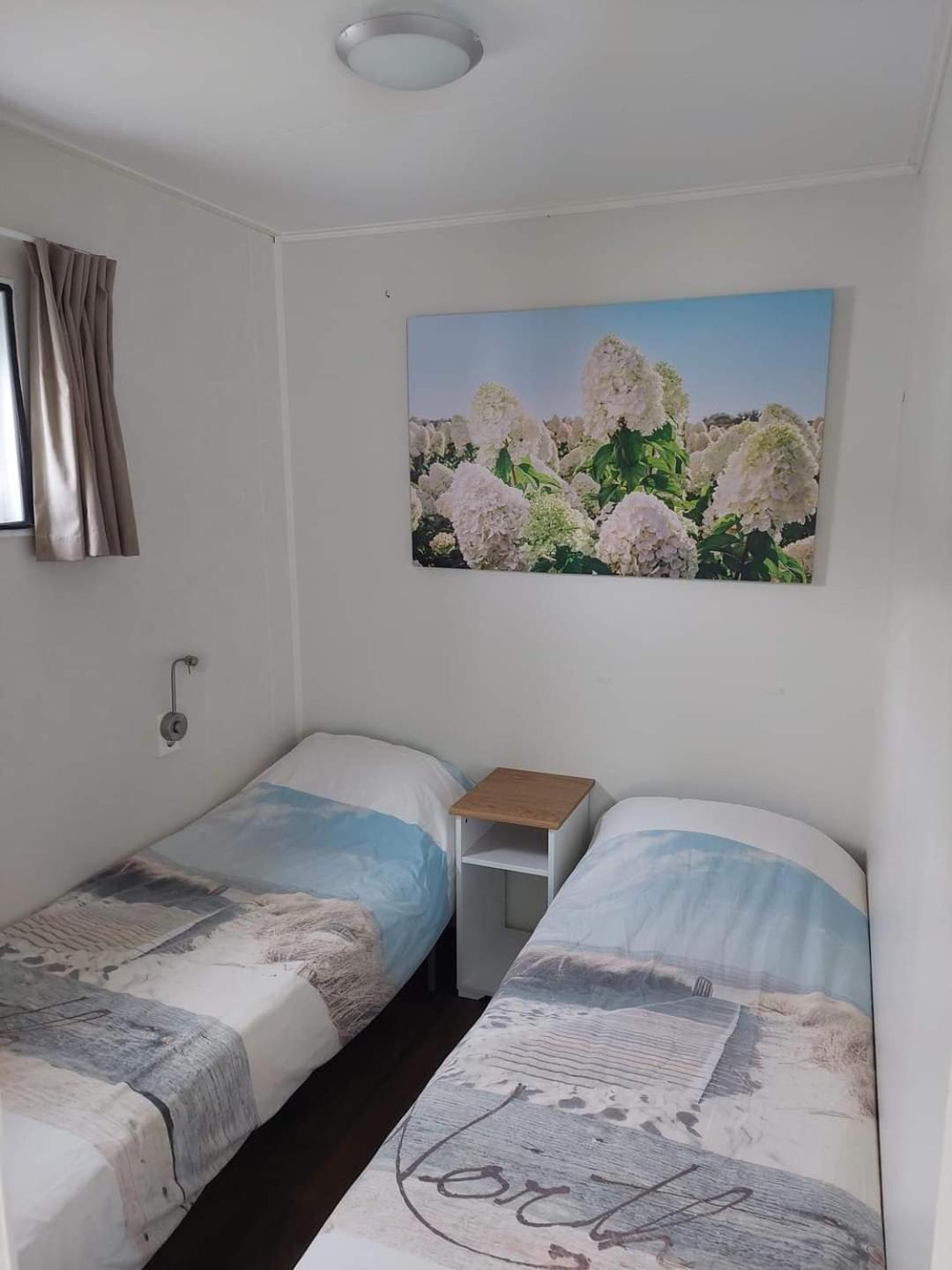 Eldorado Aan Zee Βίλα Petten Εξωτερικό φωτογραφία